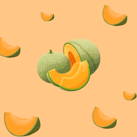 Cantaloup