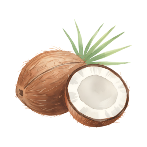 Duo Corps + Pochette Crème Glacée Coconut Grillé