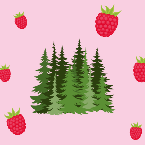 Sapin & framboises