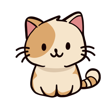 Chat