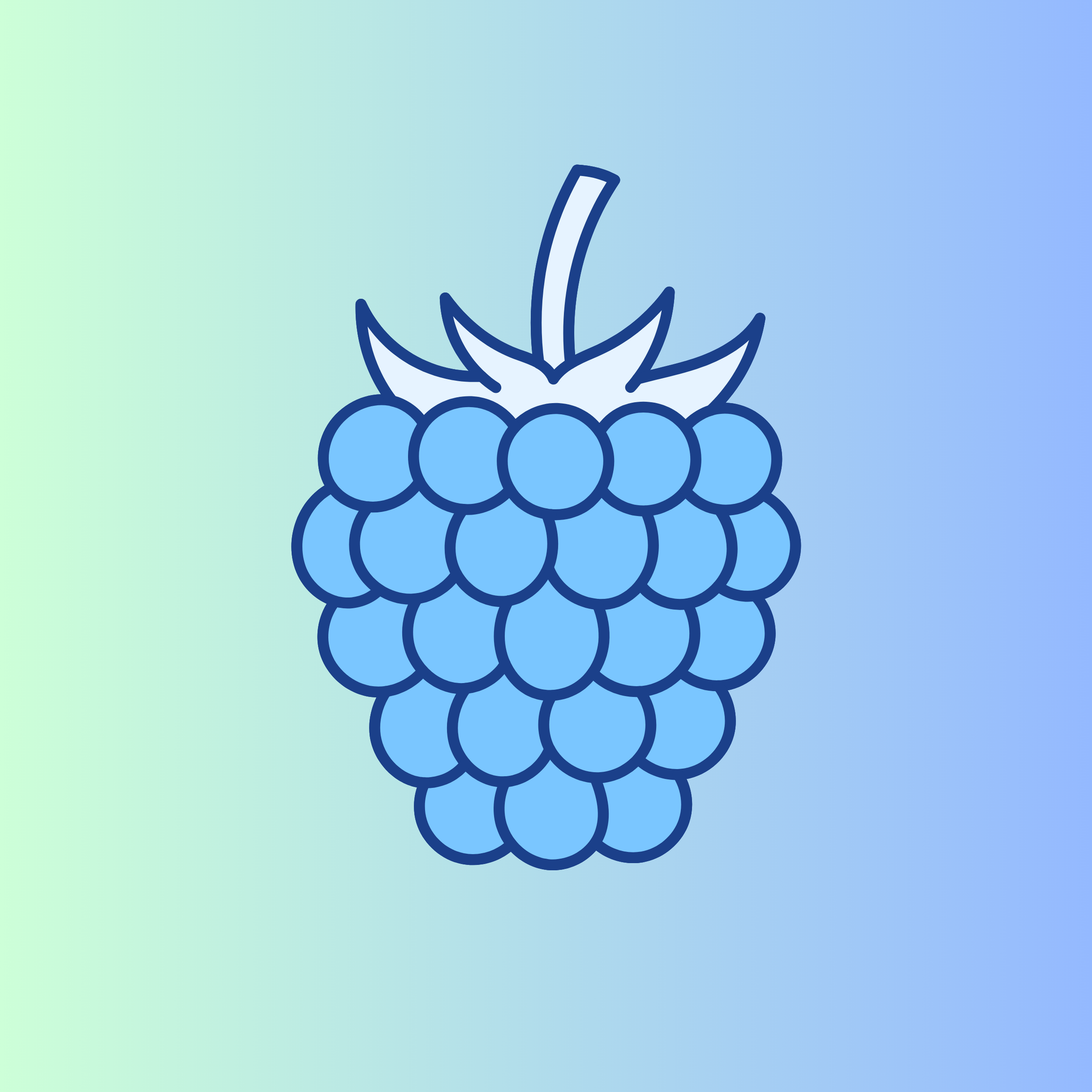 Brume corporelle framboise bleue