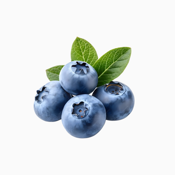 Bleuets sauvages
