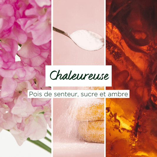 Beurre Corporel | Chaleureuse