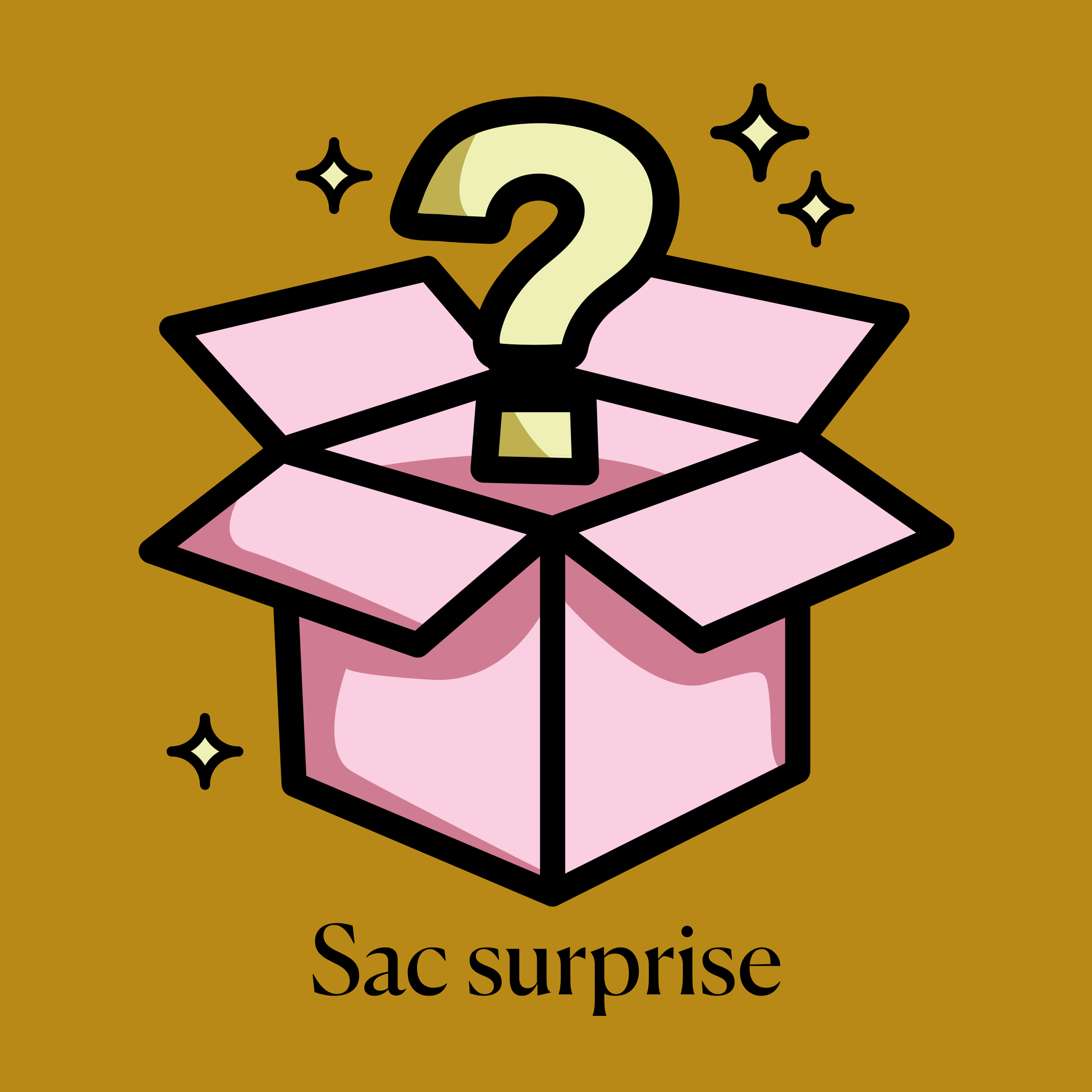 Sac surprise mystère
